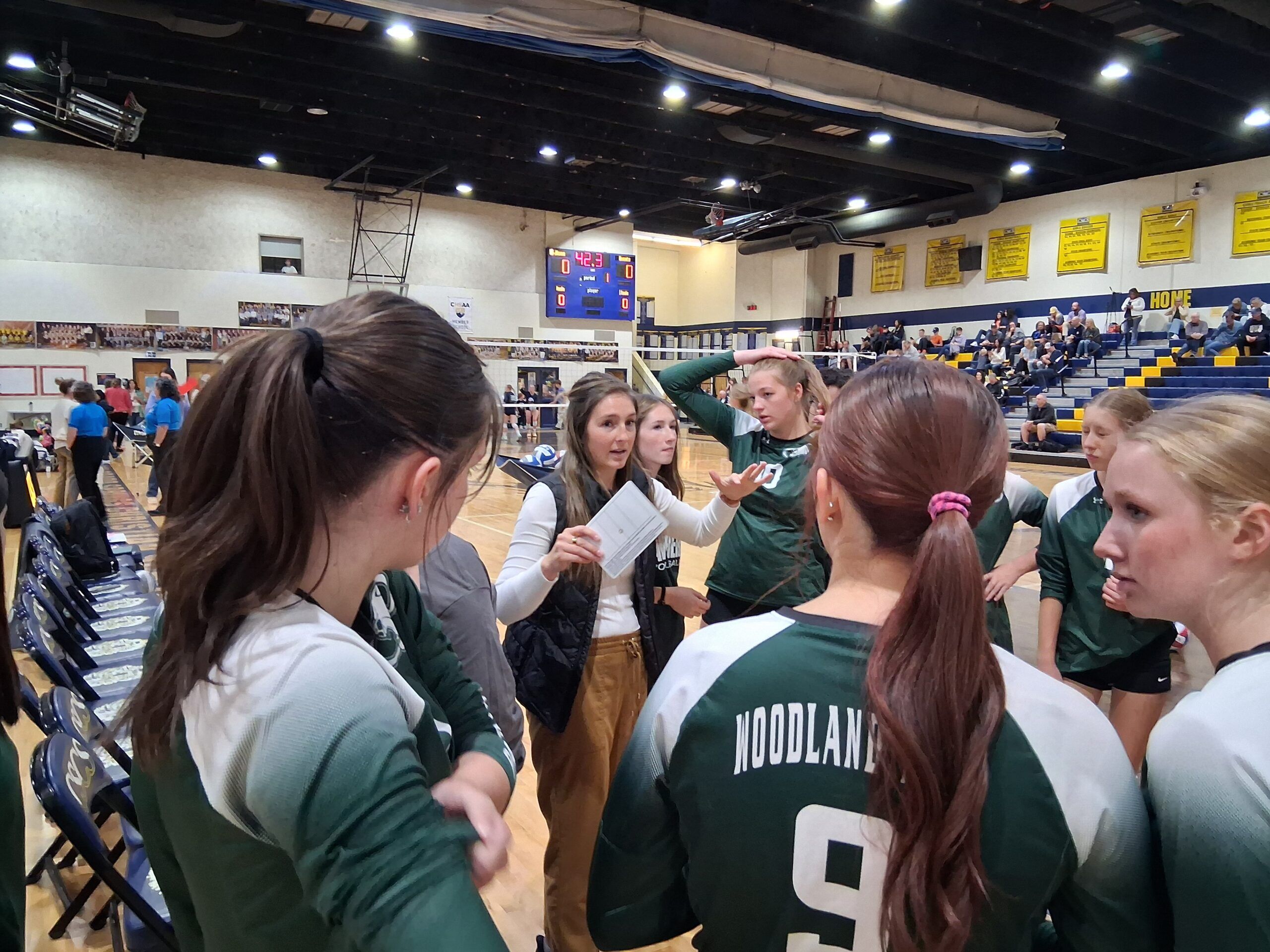 Panthers volleyball finding its groove