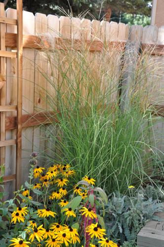 Autumn in Colorado should be a busy time for gardeners