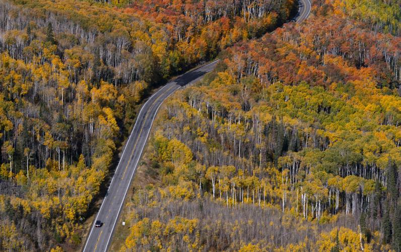 Colorado photographers offer tips and places for fall colors