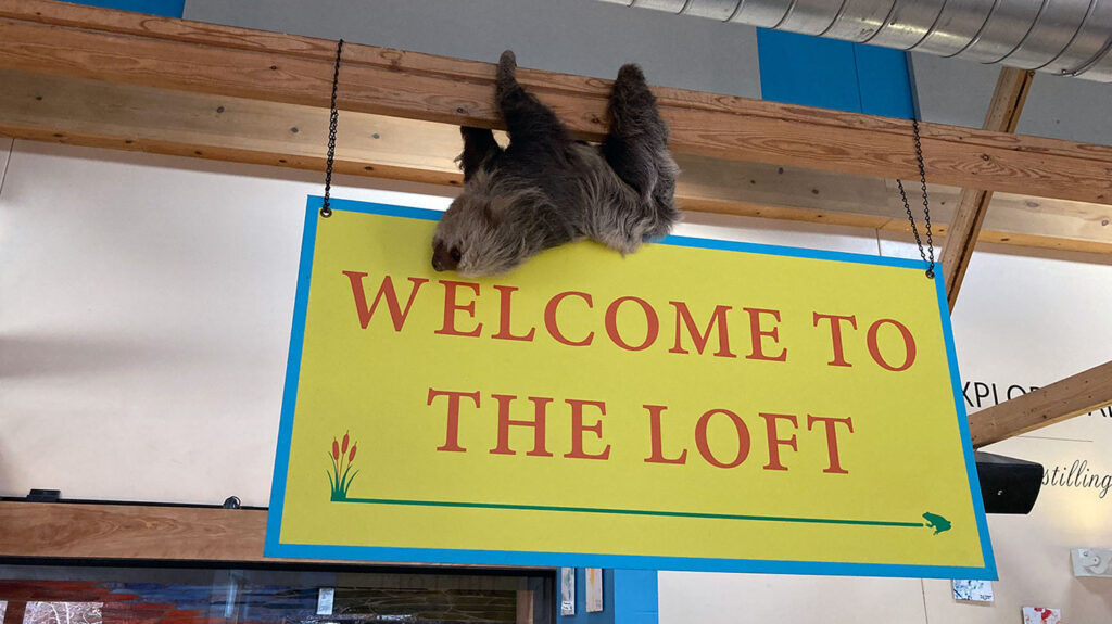 Bean, the two-toed sloth, hangs from the "Welcome to the Loft" sign at her enclosure in the Cheyenne Mountain Zoo.