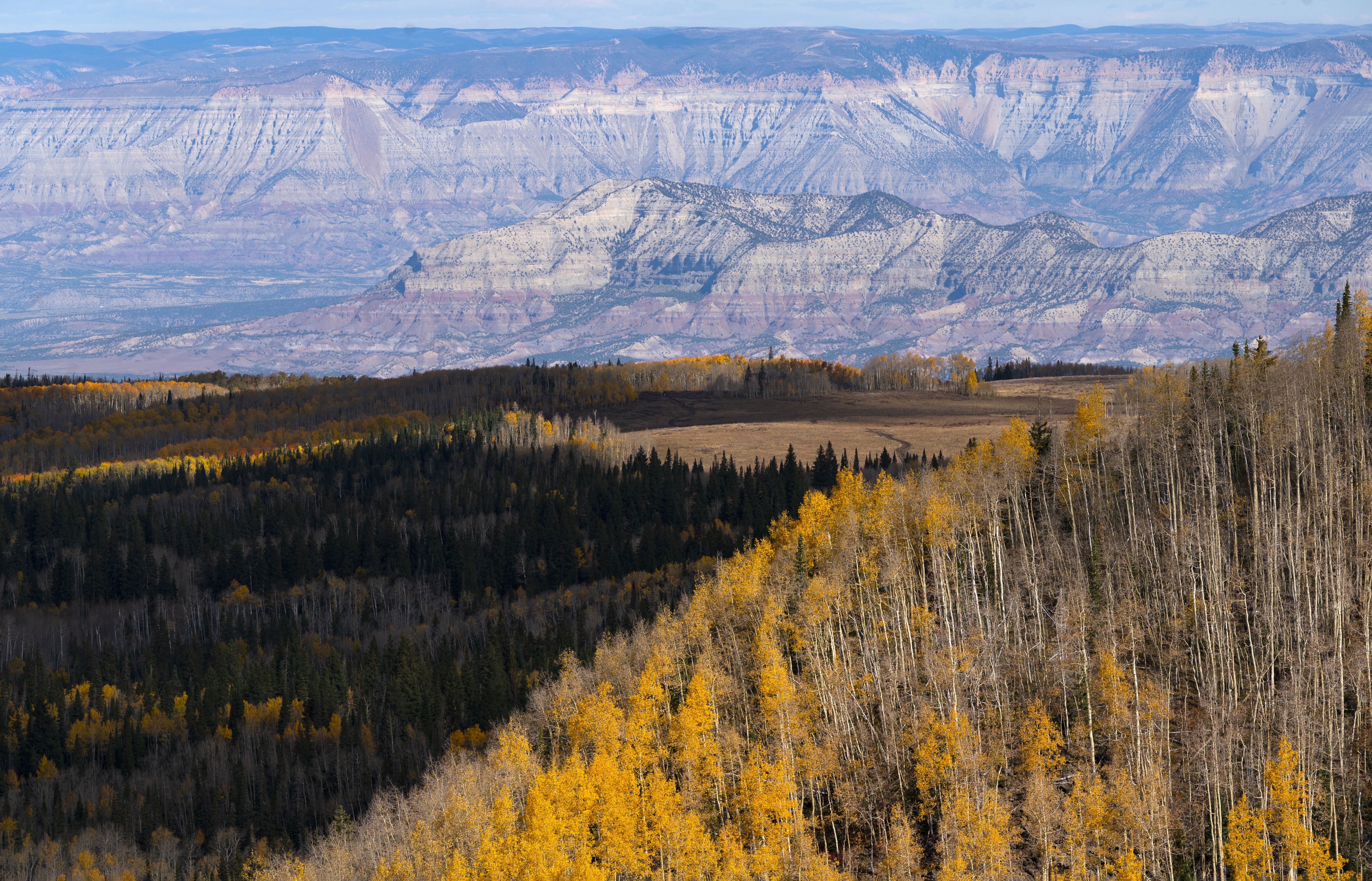 The aspens on the Grand Mesa turn golden with the Book Cliffs in the background early this month. (Christian Murdock, The Denver Gazette)