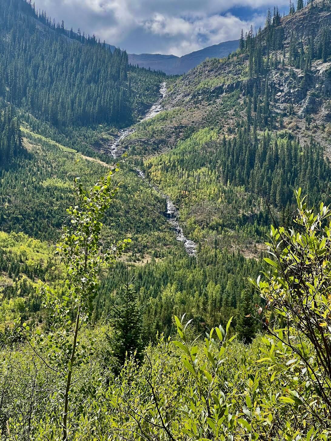Crested Butte: So much more than wildflowers | Such a Fine Sight to See