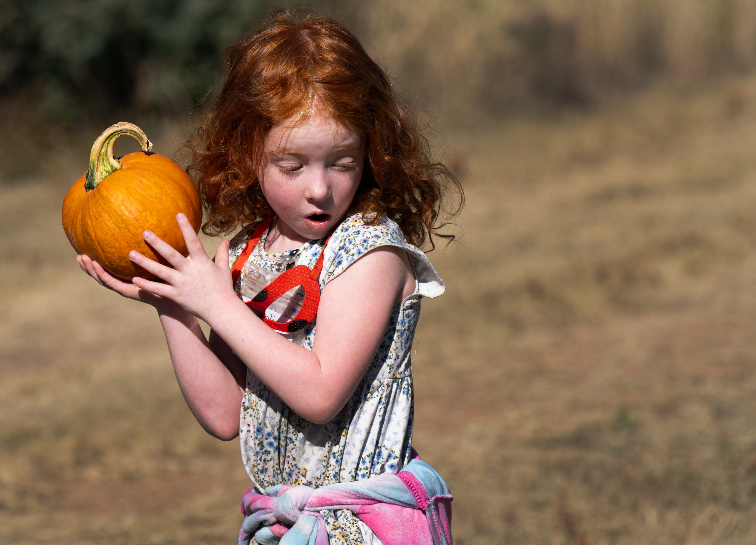 October giveaway at Venetucci Farm carries on legacy of a beloved teacher and her ‘Pumpkin Man’