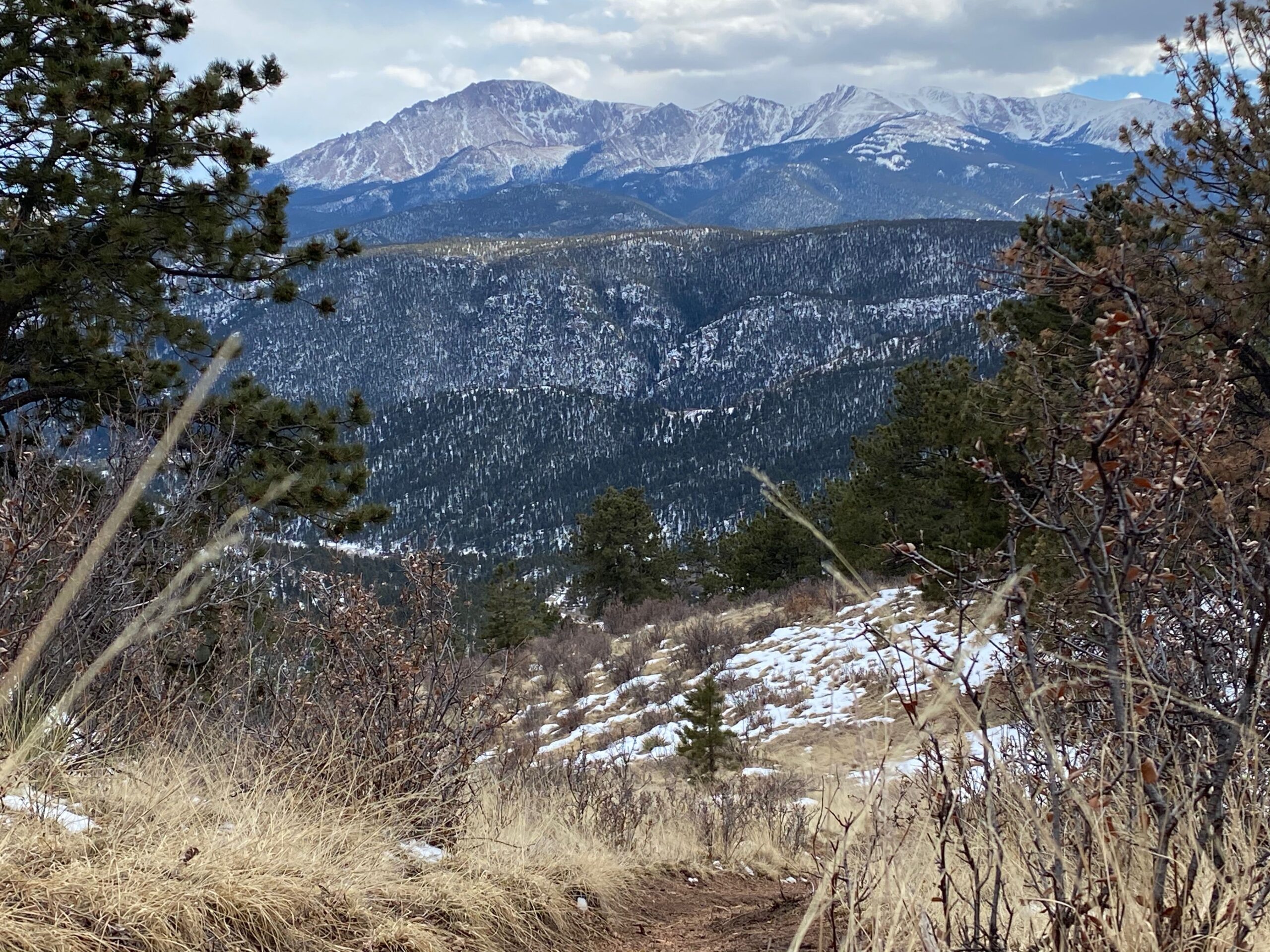 Contemplating the future of Avenger Open Space west of Colorado Springs