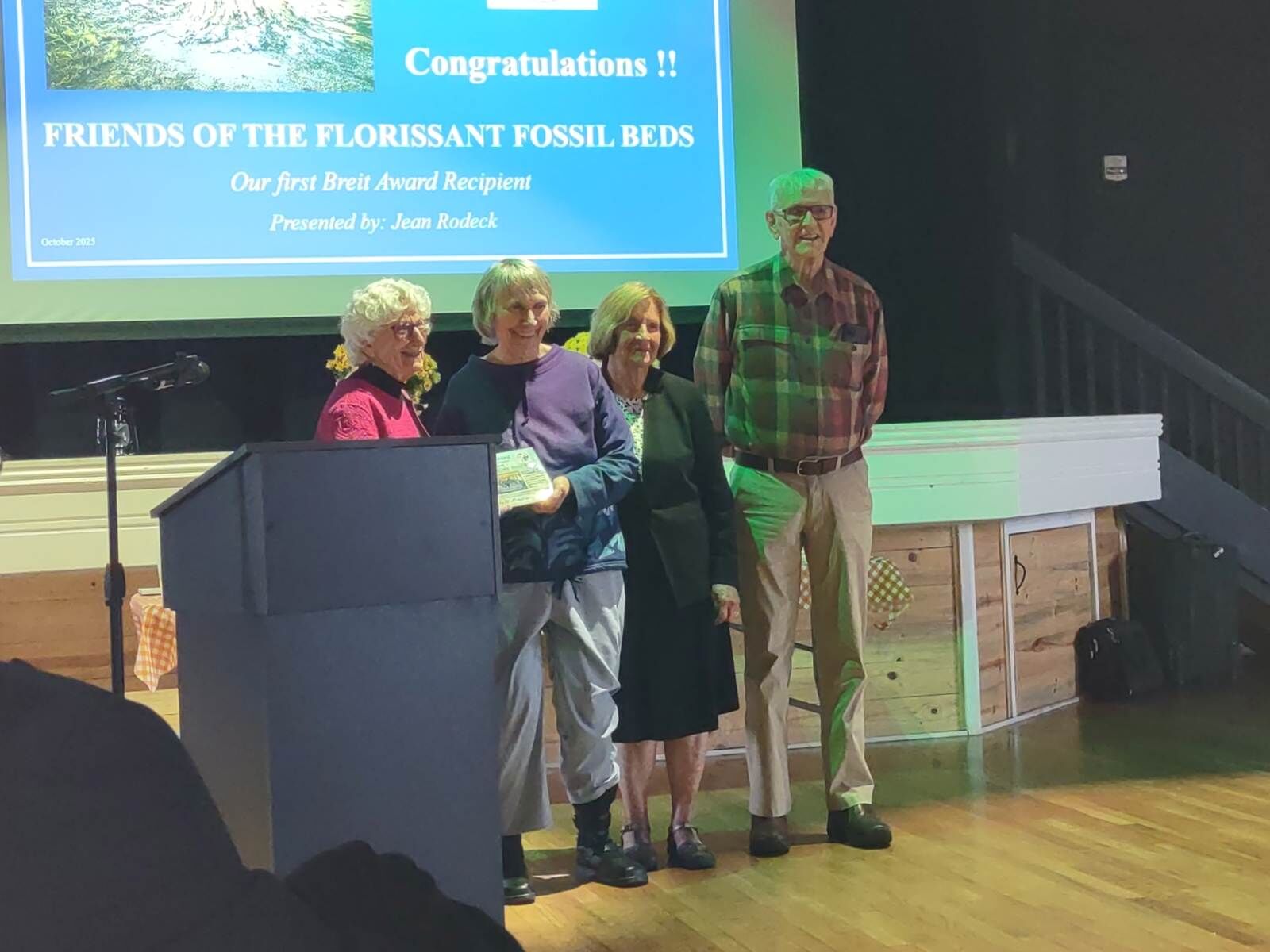 Bright stars honored at Breit Awards