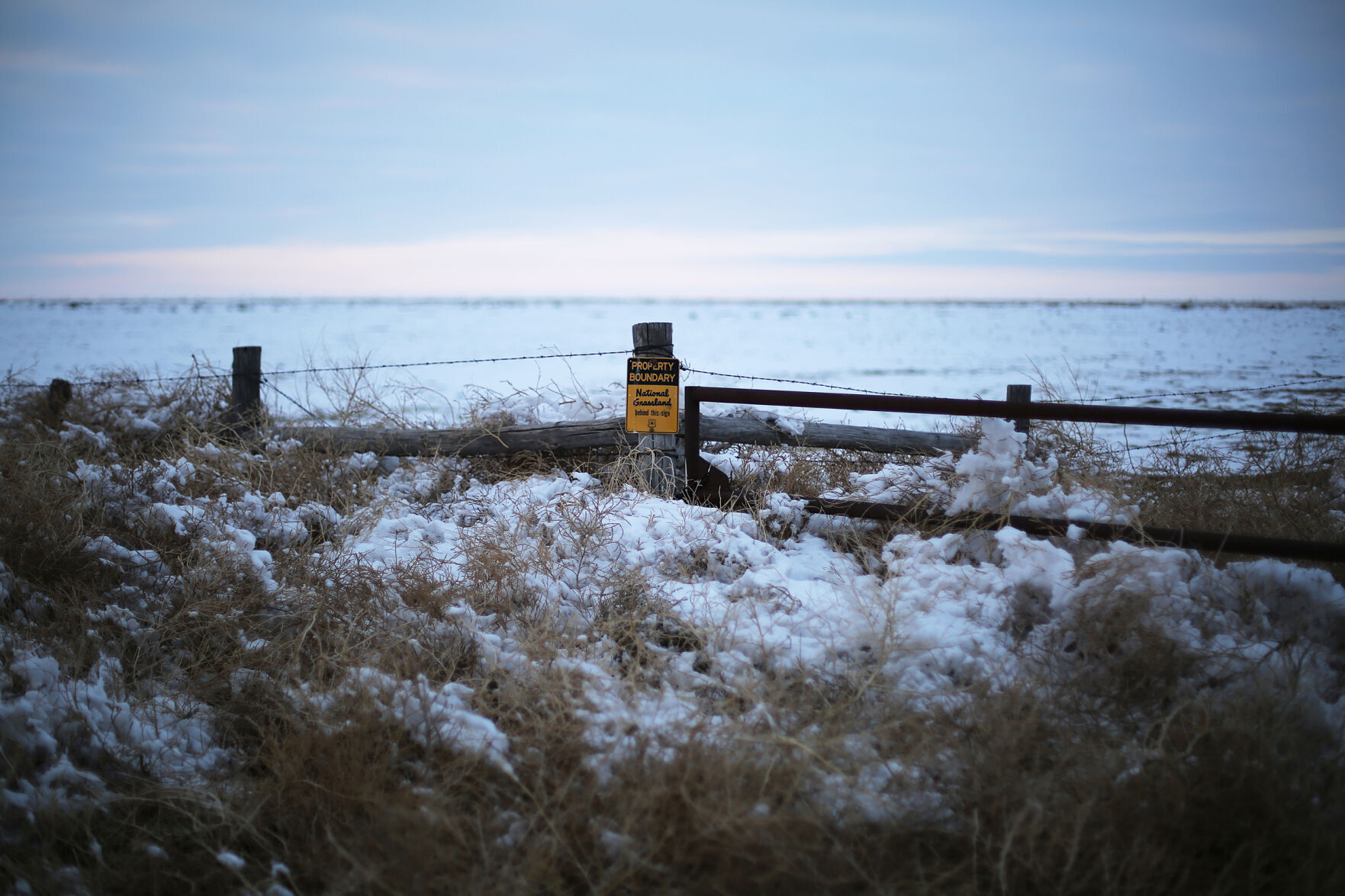 The latest effort to rewild southeastern Colorado | Rachel Gabel