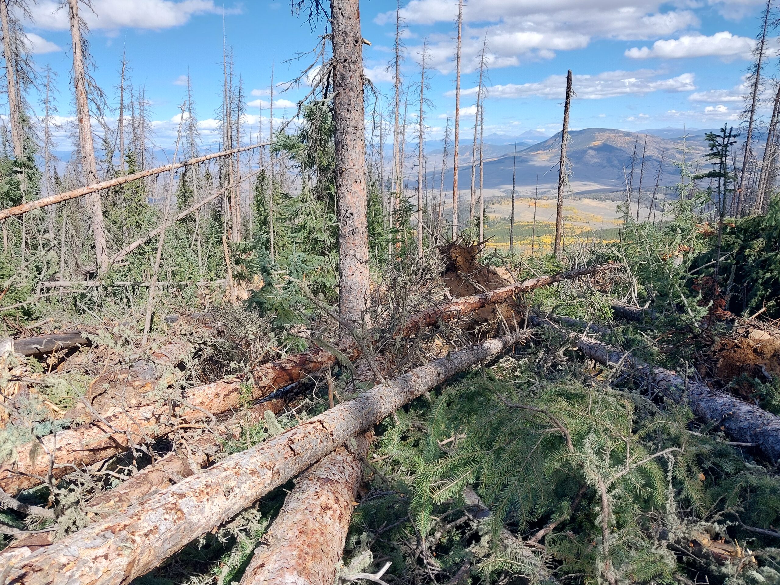 NWS confirms fourth highest tornado in Colorado history on Sawtooth Mountain