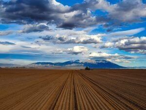 Protection set for La Jara Ranch | Gabel